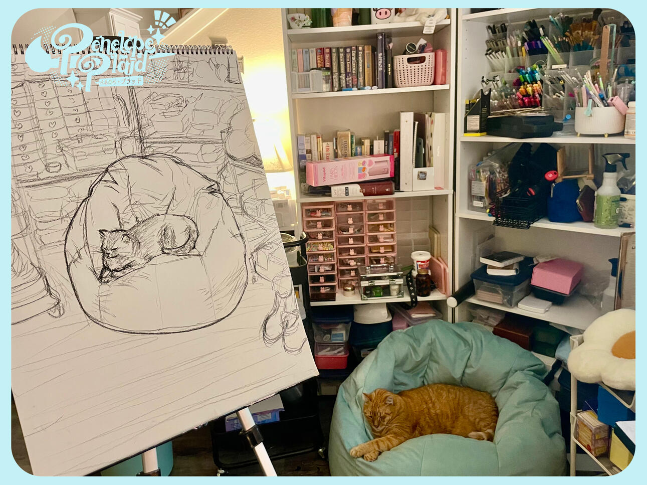 30 minute Gesture Drawing: Cat on a Bean Bag, 2025. Charcoal on Paper